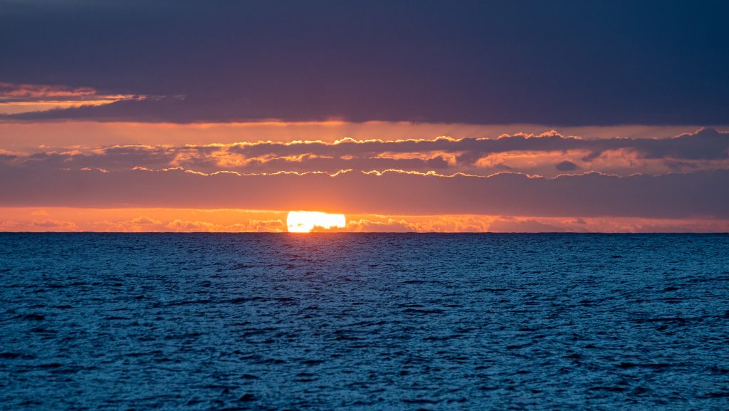 OAHU in Waimea
