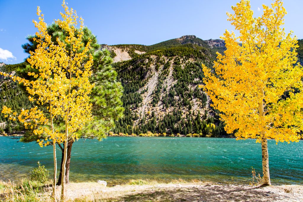 COLORADO