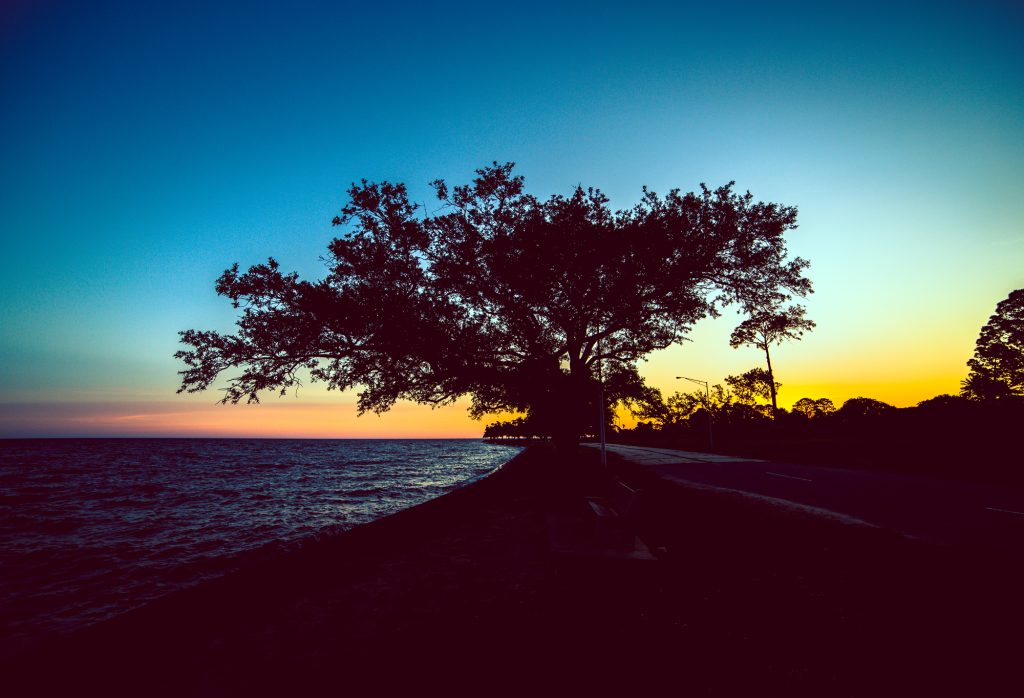 New Orleans on Lakefront